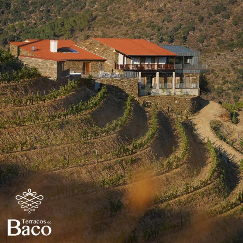 Vila Terracos De Baco Ribalonga Exteriér fotografie