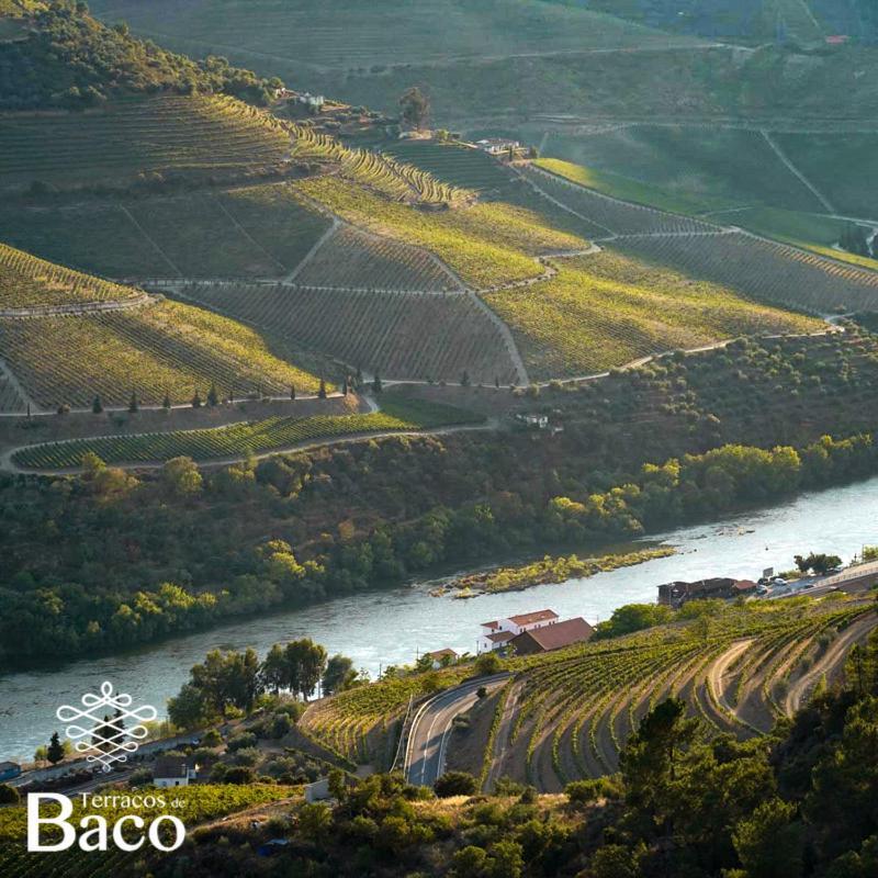 Vila Terracos De Baco Ribalonga Exteriér fotografie